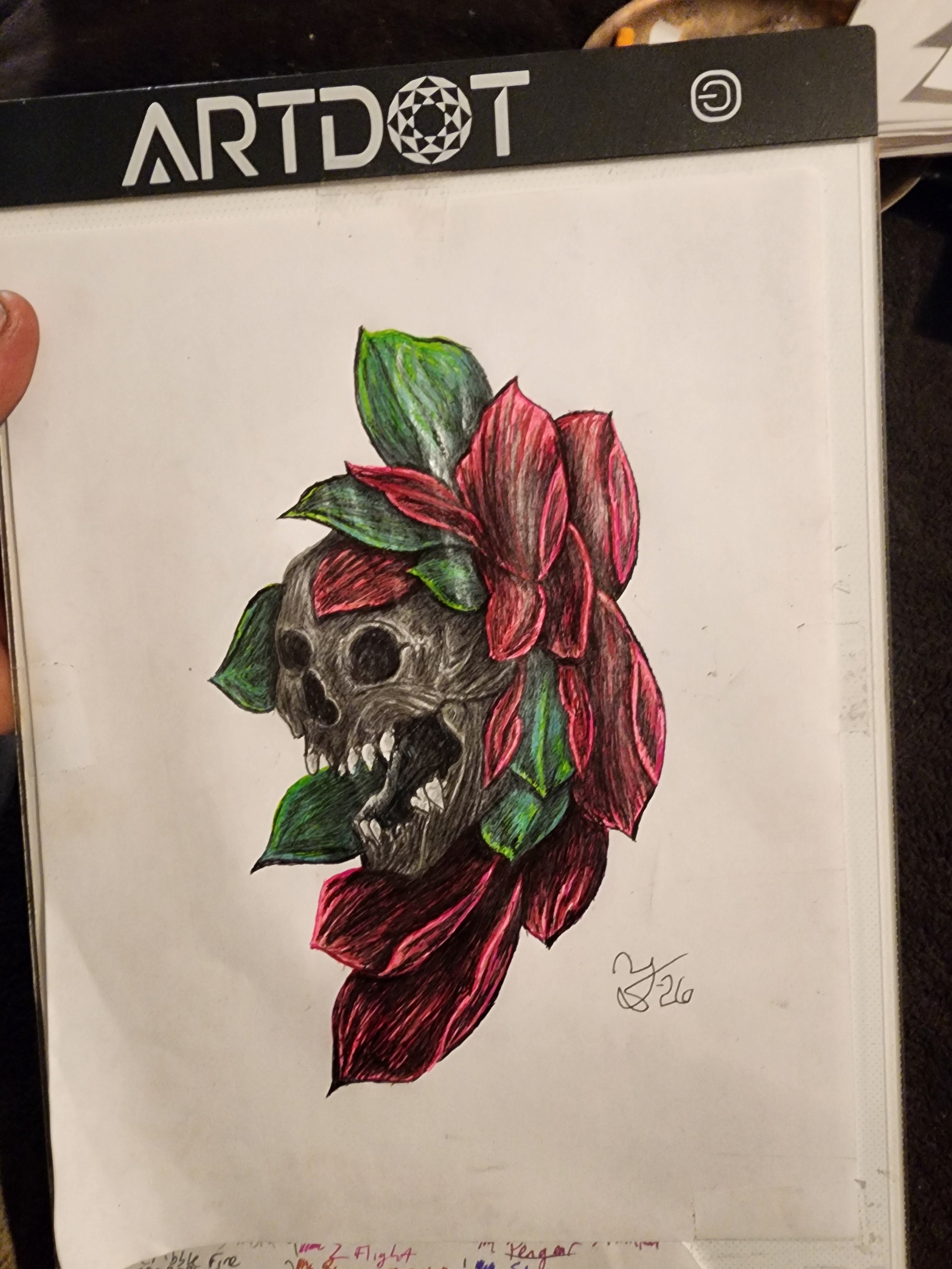Original 5x7 ink and colored pencil drawing of a skull emerging from a red rose