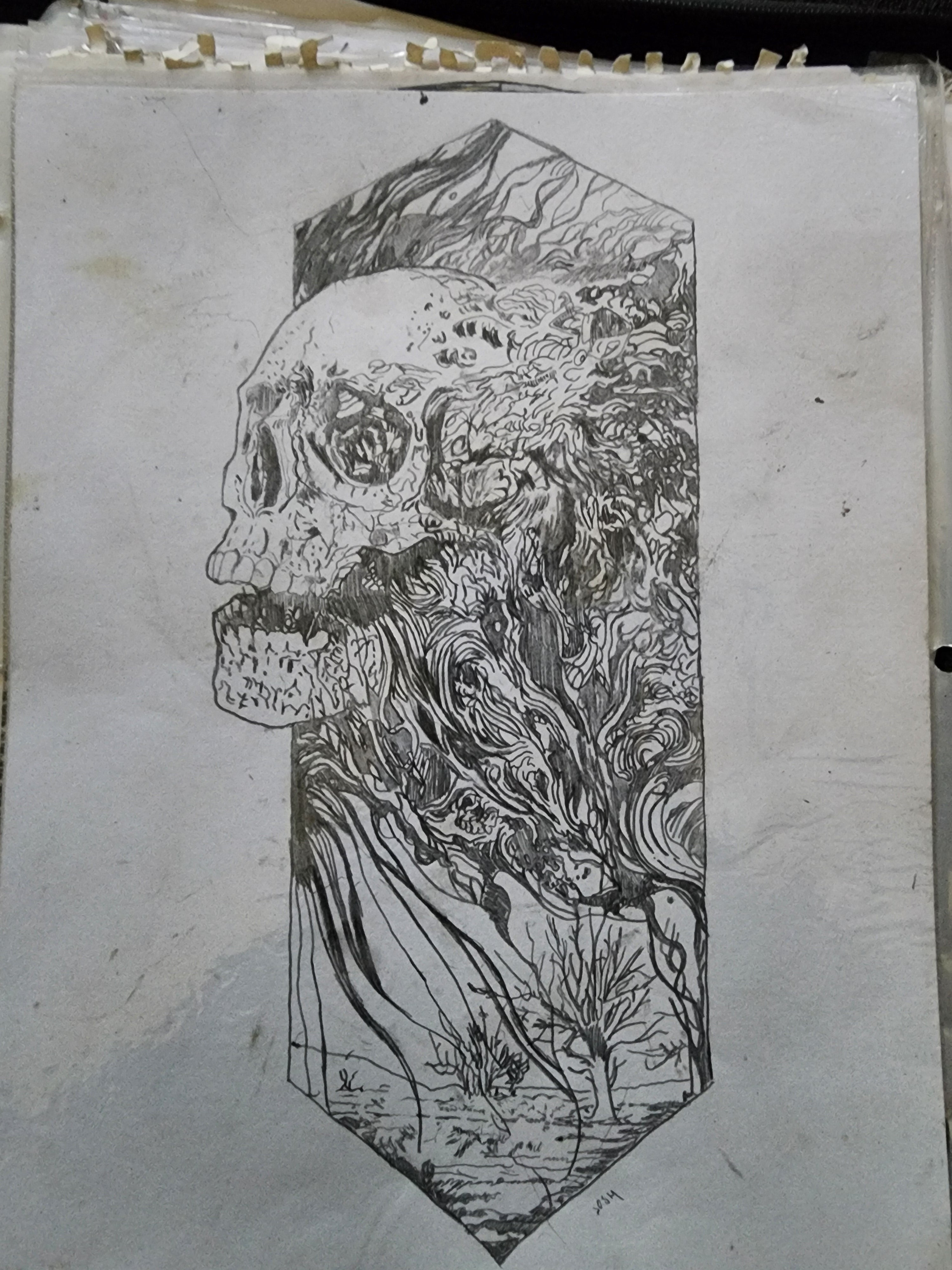 Original 8x11 pencil drawing of a skull dissolving into swirling trees and roots within a diamond shape